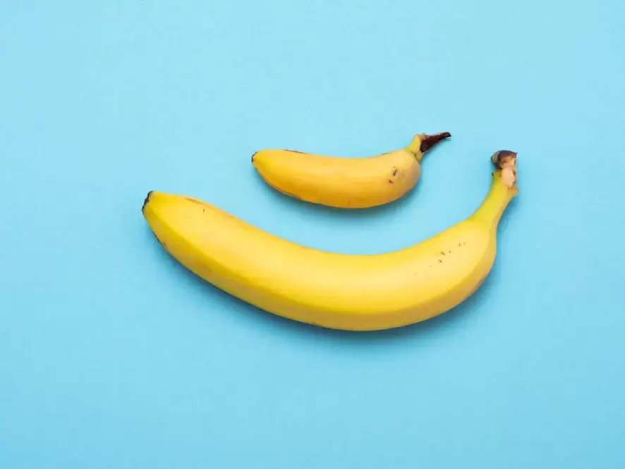 バナナの例の華やかで小さくて拡大された陰茎